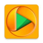 network stream (video) player android application logo